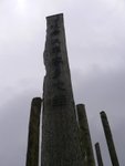 P1010351