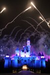 IMG_0239
