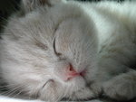 DSCN5430