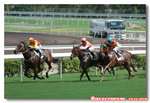 Racecourses02