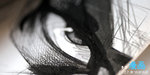 DSC_1195re