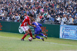 DSC_2448 copy