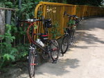 DSCF3289
