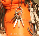 IMG_9778 crop