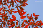 DSC_7097 copy
