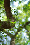 DSC_7117 copy