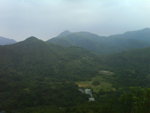 DSC00631