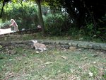 IMG_4913