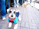 LuLu