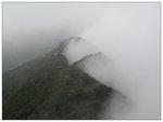 �¥չD