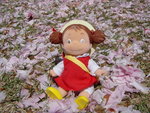 Sitting on Sakura sea