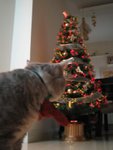 
What's that??
(By Cathy)
