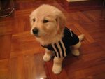 Baby Don