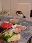 um...any fish??