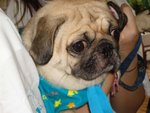 
hey why u look so sad??
