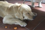 ZZZZZ....
