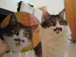 
Bobo?! (By Cathy)