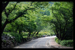 ����-DSC_0027