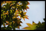 ����-DSC_0100