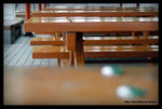 ����-DSC_0101