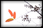 �E�s����2006 - �� 3