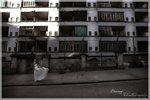 DSC_0298a