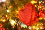 IMG_1552_resize