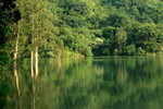 IMG_8306_resize