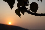 IMG_1780_resize