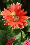 IMG_9313_resize