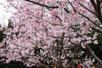 IMG_2147_resize