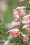 IMG_3291_resize
