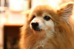 CRW_0715_resize