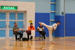IMG_4388_crop_color