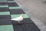 �Ӥ� 174