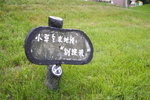 Grass said: