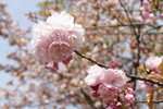 IMG_0610_�վ�j�p 