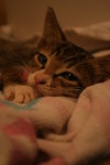 IMG_1453