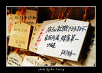 PICT7192 copy