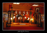 PICT7193 copy