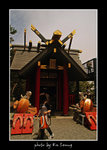 PICT7197 copy