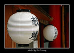 PICT7205 copy