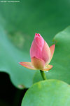 CRW_9798