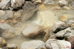 IMG_2538a