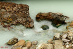 IMG_2567a
