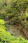 IMG_2706a