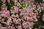 IMG_2807