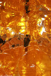 IMG_6375a