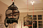 IMG_6394a