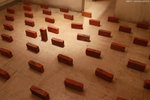 IMG_6427a